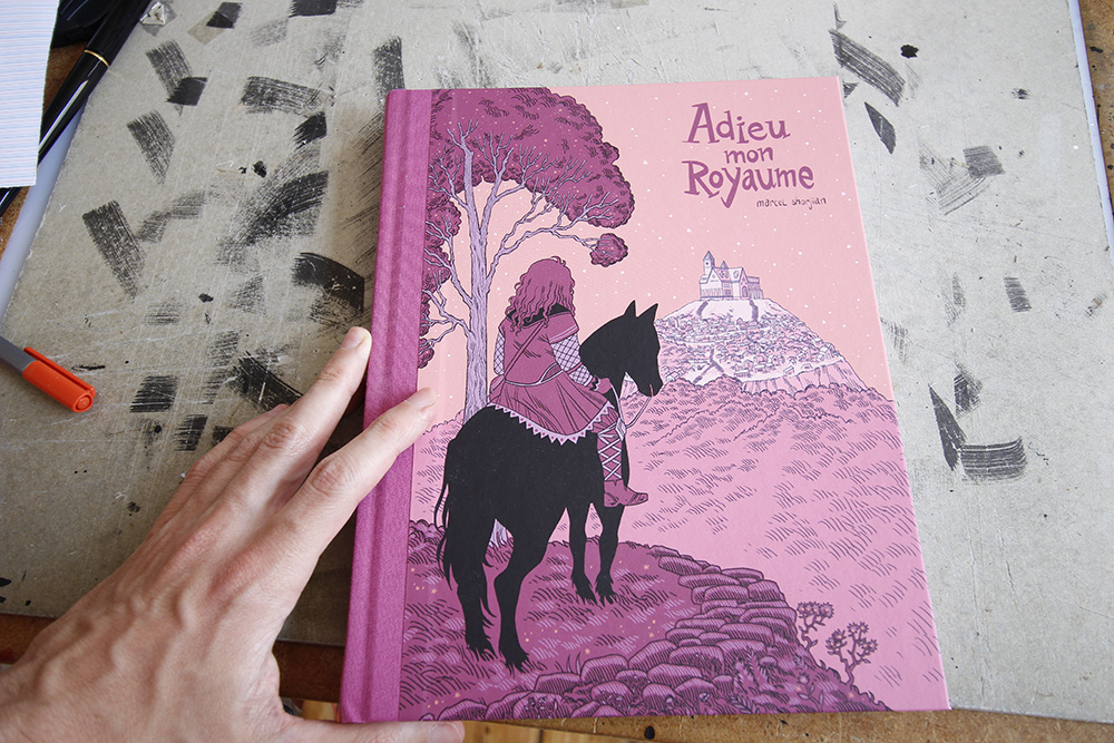 photo du livre Adieu mon royaume